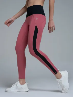AbsoluteFit Women's Bold & Beautiful Leggings