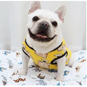 Cool Fashionista T-Shirts