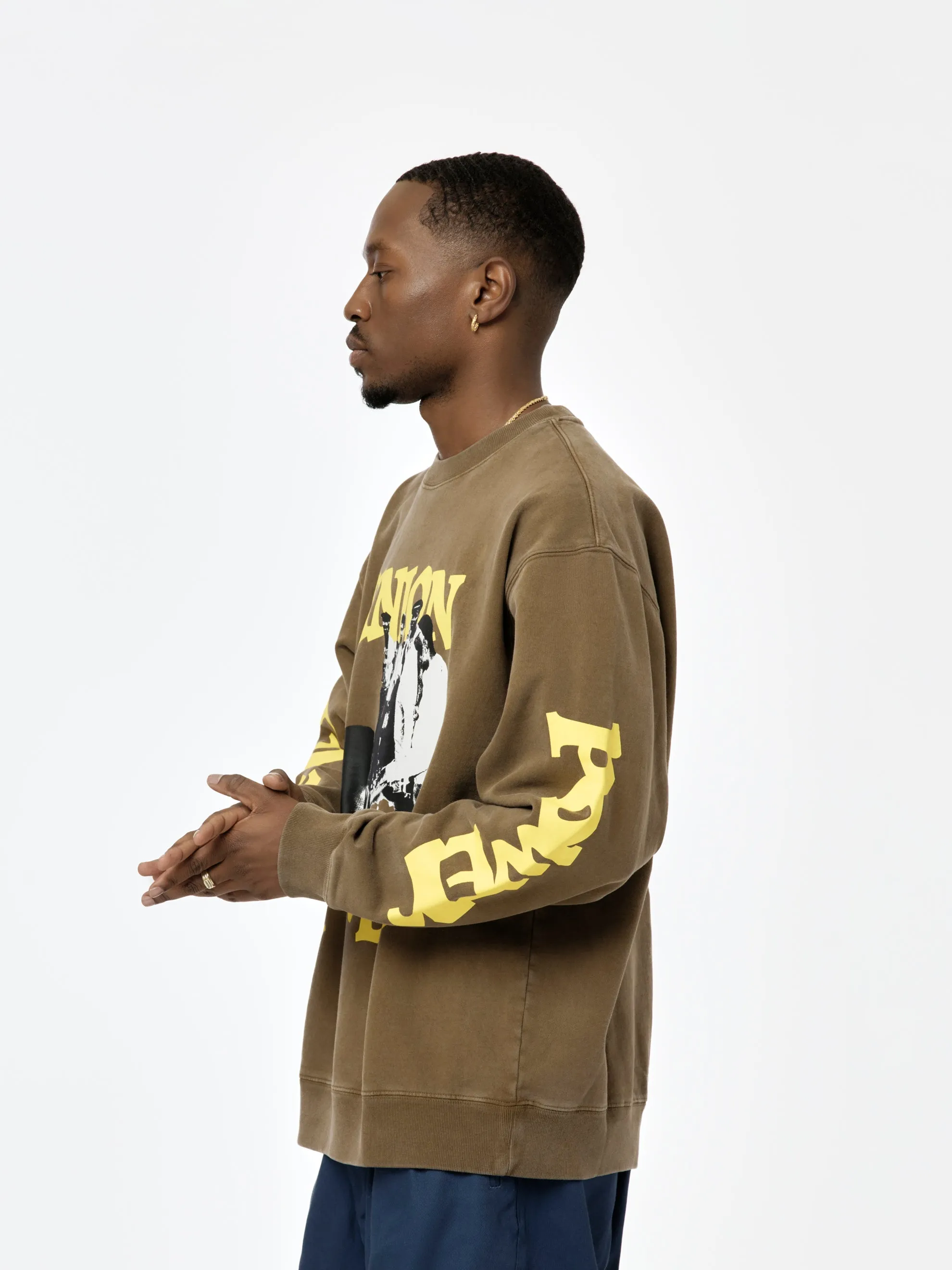 Power & Unity Crewneck (Dark Earth)