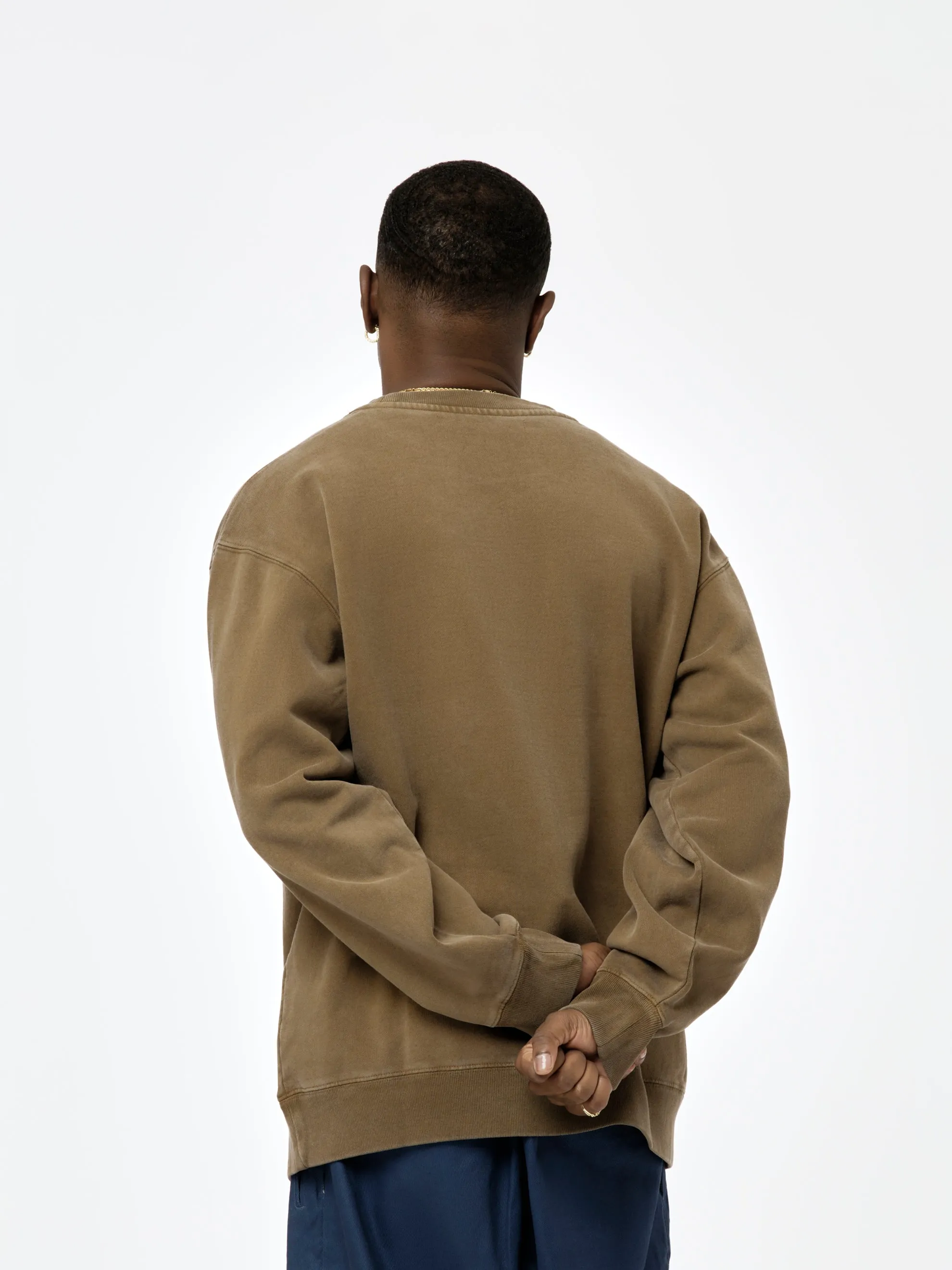 Power & Unity Crewneck (Dark Earth)